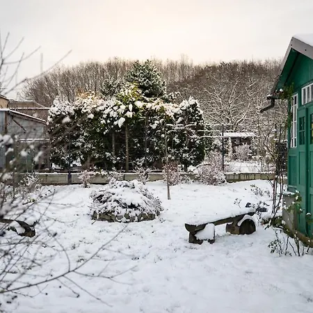 Modern With Cinema & Garden Apartament