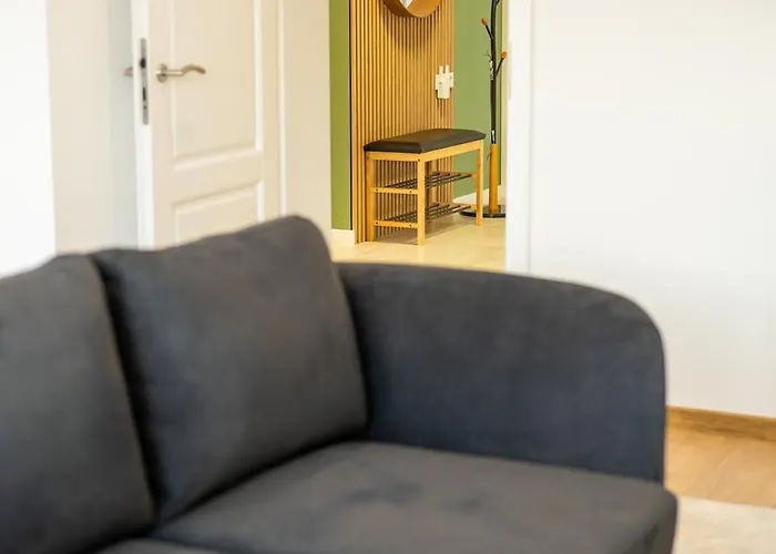 Modern With Cinema & Garden 타르노프스키 고리